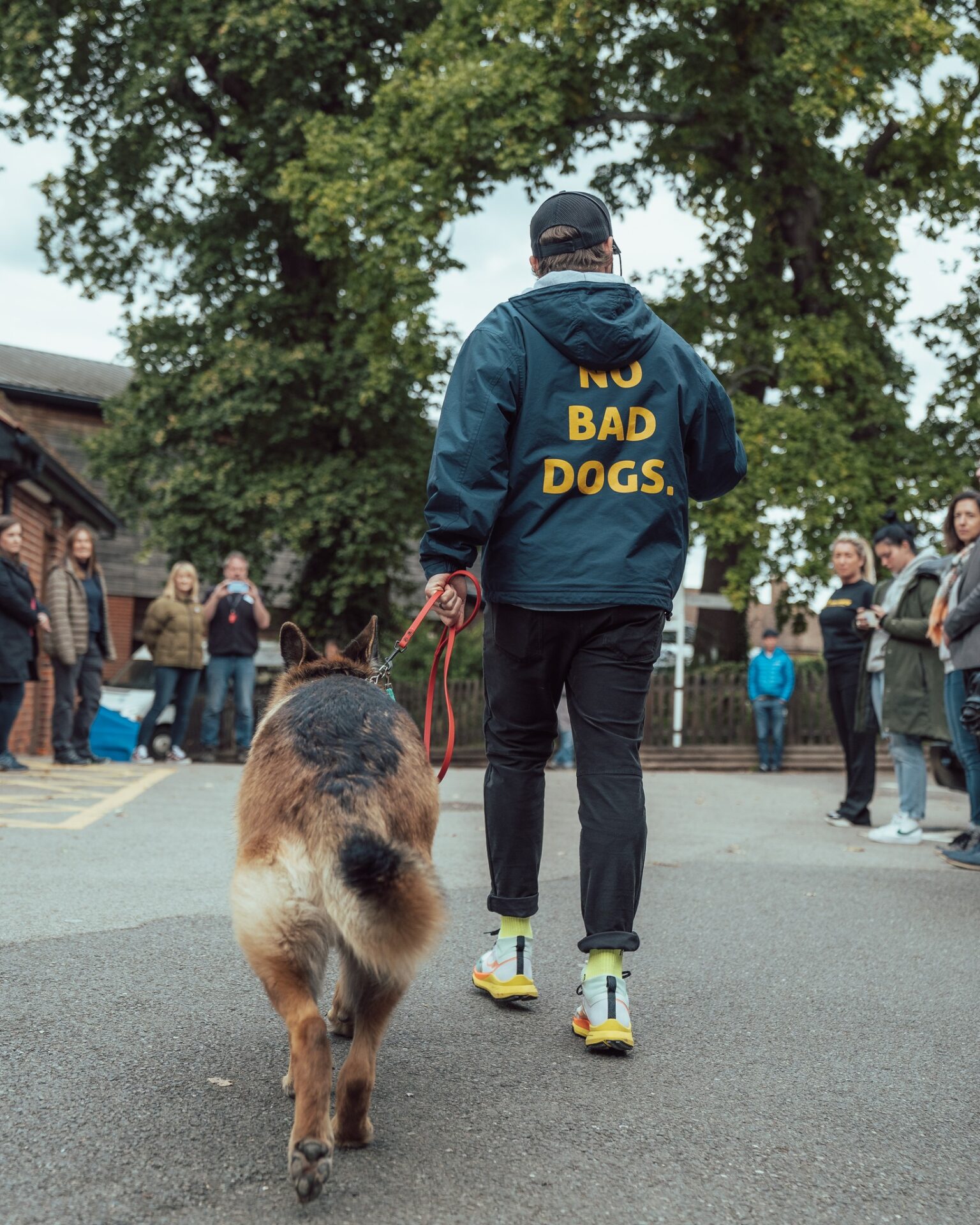 Managing Reactivity During Walks